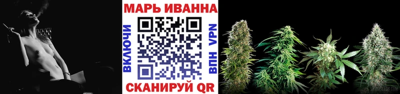 Шишки марихуана планчик Купино